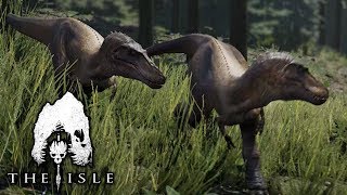 The Baby Rex Chicks - The Isle