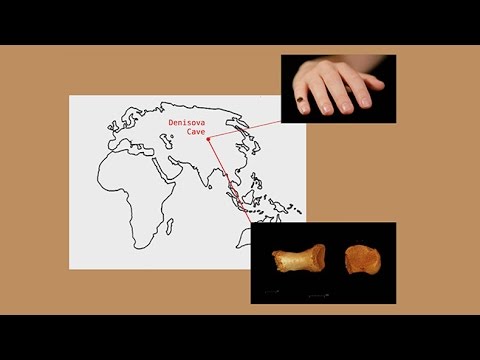 CARTA: Ancient DNA and Human Evolution – Neandertal and Denisovan Genomes and What They Tell Us