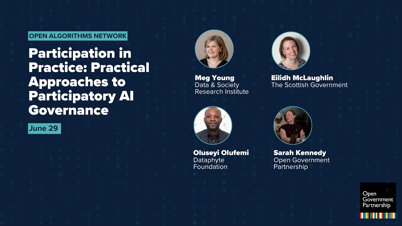 Participation in Practice: Practical Approaches to Participatory AI Governance