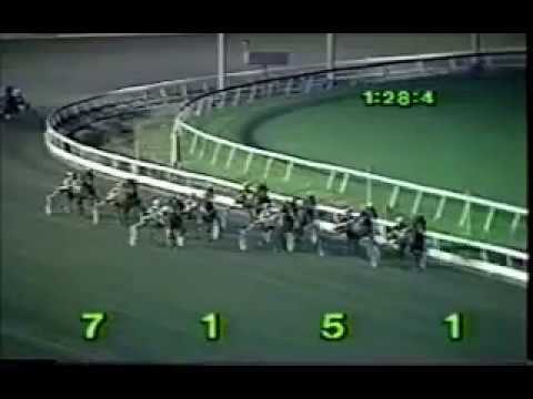1987 Meadowlands SUPERGILL Peter Haughton Memorial Trot