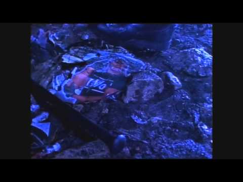 Hogan/Sting: Starrcade '97 Promo