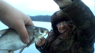 Ссылка