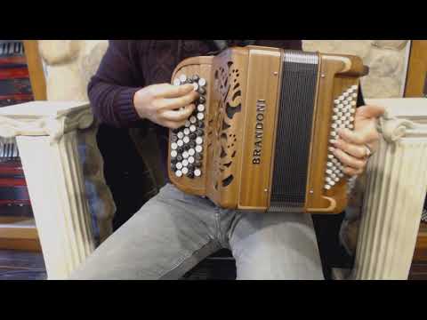 BRAN181W3760MW - Mahogany Brandoni 181W Chromatic Button Accordion C System MM 37 60 $4999