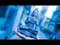 Shivaya Weed Status
