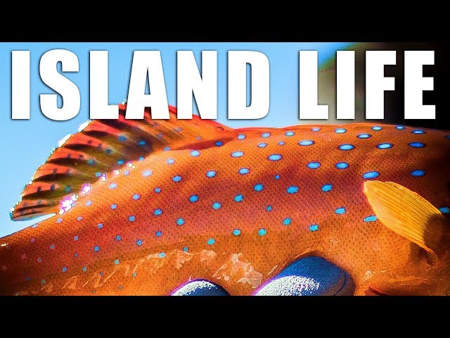 Catch and Cook Coral Trout while Camping and Fishing on a Remote Island!