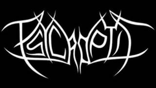 Psycroptic - Reparing the Dimensional Cluster