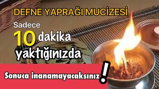 EVDEKİ NEGATİF ENERJİDEN KURTULMAK İÇİN DEFNE YAPRAĞI İLE KESİN ÇÖZÜM !