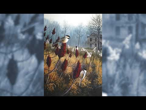 Peteris Vasks - Balta ainava