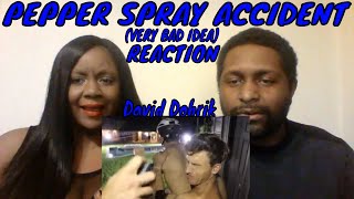 David Dobrik PEPPER SPRAY ACCIDENT!! (VERY BAD IDEA) REACTION