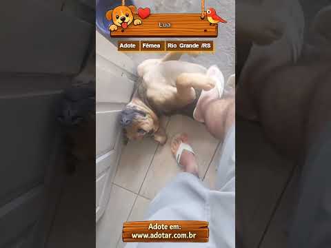Vídeo de Lua