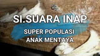 Download lagu SI.SUARA INAP SUPER POPULASI ANAK MENTAYA (LINK LANGSUNG DOWNLOAD MP3  DI DESKRIPSI DIBAWAH INI) mp3