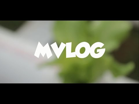 #YVLOG - Mini Vlog - Jalan ke Gasing Water Bay