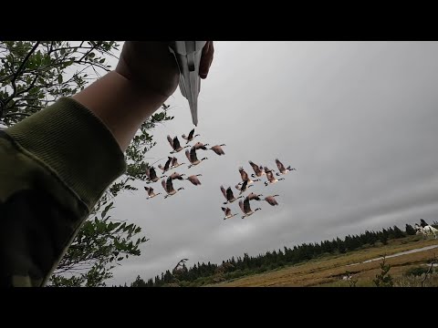 Fall Goose Hunt 2025, Eastern James bay