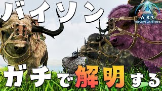 【ネタバレ禁止ARK】第5話 「バイソンの要素を一つ残らず徹底的に解明する覚悟」