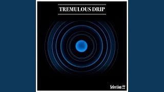 Venice Dream (Radio Vrs. With Melody)