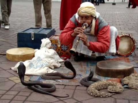 morocco snake charmer