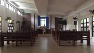 Revolution Cry by Passion - Cover