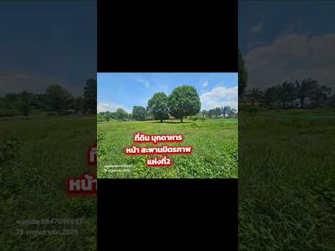 ขายที่ดิน บางทรายใหญ่ มุกดาหาร หน้าด่านสะพานไทย-ลาว  แห่งที่2 เนื้อที่ เกือบ 2 ไร่ เพียง 2.59 ลบ.ทำเลดี  – รูปที่ 2