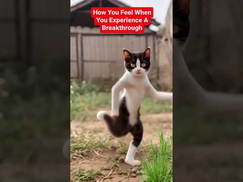 cat dancing #short #viralvideo