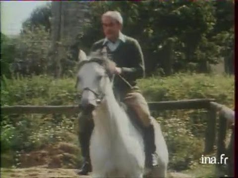 Alain Peyrefitte : la justice et les animaux - archive vidéo INA