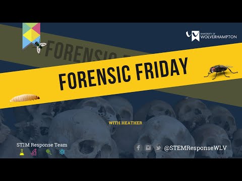 Fingerprints   Everything you need to know!