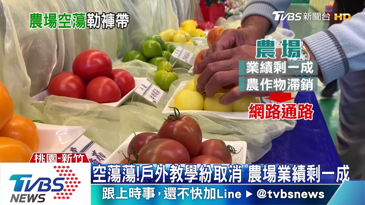 空蕩蕩!戶外教學紛取消 農場業績剩一成