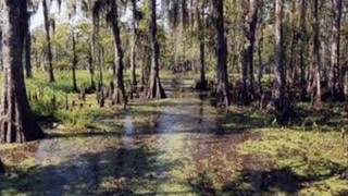 Jerry Reed - Amos Moses