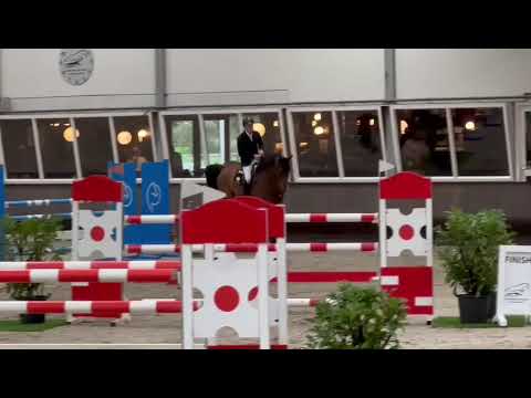 Lamaze TN (Grandorado TN x Carthago)  Vragender - Kars Bonhof