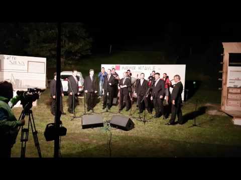 Veseli Svatje in Slovenski oktet - Gorenjski nagelj