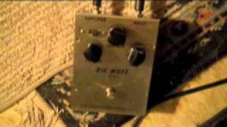 Video thumbnail for 2N5133 muff.mov by jermsfuzz