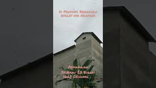 Download lagu SP AKAU 22 BIRAHI KIRIMAN DARI BENGKULU. YG INI LEBIH NGERI RESPONNYA mp3 Download lagu SP AKAU 22 BIRAHI KIRIMAN DARI BENGKULU. YG INI LEBIH NGERI RESPONNYA mp3