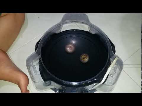 Drain Fafnir 8 Nt vs Fang Fenrir 6glaive liner 1 battle