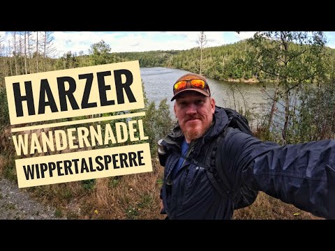 Wandern I Harzer-Wandernadel  Stempelstelle 219 Wippertalsperre