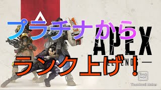 [Apexレジェンズ]　プラチナからランク上げ