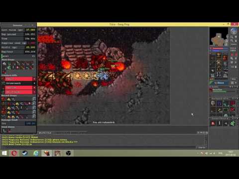 Tibia 310 RP exp on Vexclaw :)