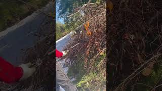 Propane torch gets 🔥🔥lit up. Tree farm day in the snow. #treefarm #shorts