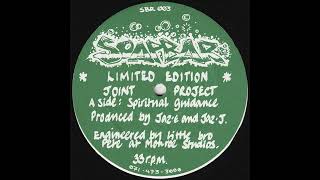 Joint Project Spiritual Guidance