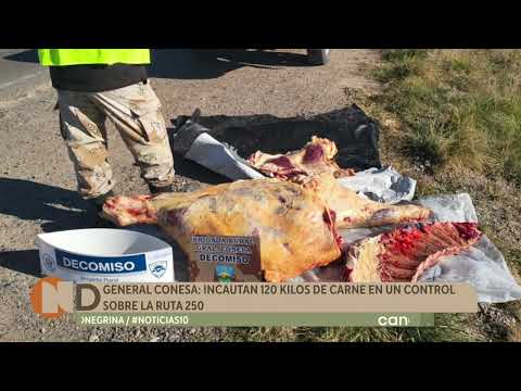 General Conesa: Incautan 120 kilos de carne en un control sobre la Ruta 250