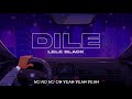 Lele Black - Dile- (Video Lyric)