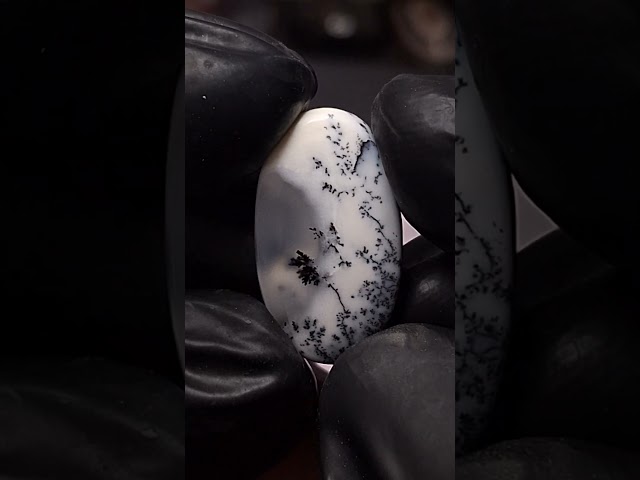 حجر اوبال مشجر طبيعي مفحوص و موثق بشهادة مختبر