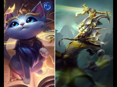 This Video Will Get 1M Views  (Best Bot Combo Yi & Yuumi)