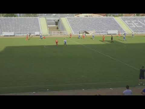 VIITORUL  SIMIAN. & CSO FILIASI