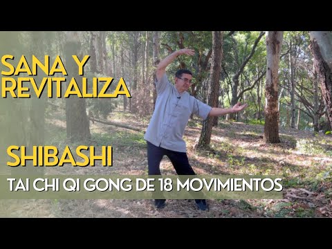 Tai Chi Qi Gong de 18 Movimientos - Shr Ba Shr (SHIBASHI) - FACIL Y EFECTIVO