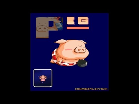 The Game Paradise (Pig - Time Attack) 1995 Jaleco Mame Retro Arcade Games