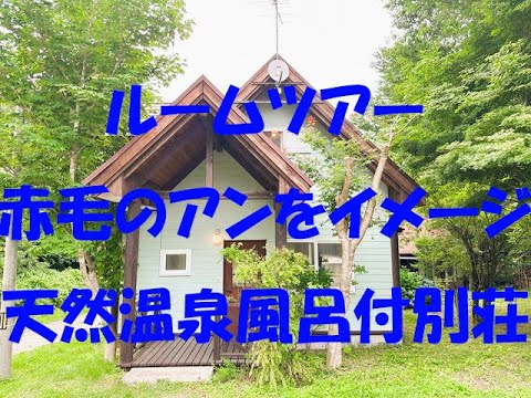 intérieur de la cabane en bois habitable canapé-lit-convertible-kitchentte-rangements