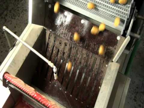 Mix Fördertechnik - Kartoffelwaschmaschine/Bürstenwaschmaschine/Gemüsewaschmaschine