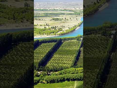 Luis beltran rio negro #argentina #rionegro #patagonia #luisbeltran