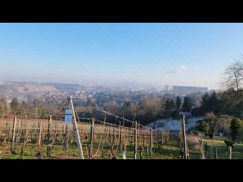 Stuttgart Mönchfeld/Hofen 15.1.2022