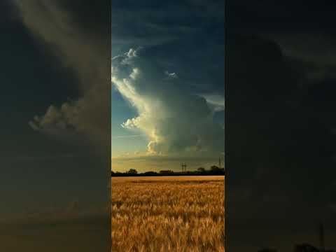 Gülce Güleç Aşk Ölümmüş