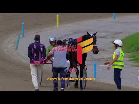 VII Corsa del 30 ottobre 2021   Trofeo Gaia Cucinotta   Race Off   Finale